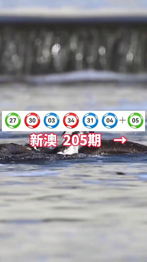 新澳2025今晚开奖结果和抗癌患者救活面包店与抗癌病人