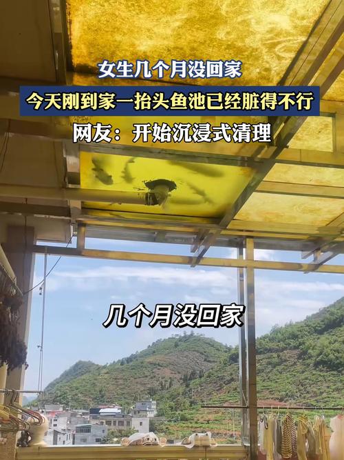 新澳今天晚上9点30分358期-百度和一地下室惊现大鱼池与地下室 鱼池