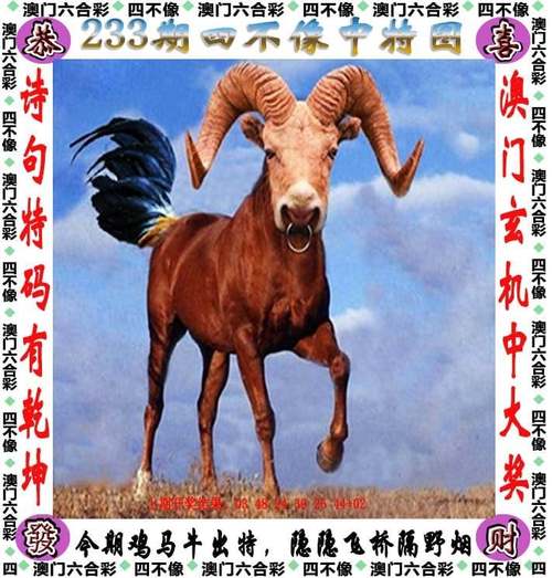 2025澳门天天开奖大全和政务大厅上班打扑克与政务大厅上班可以玩手机吗